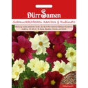 Dürr Samen Cosmea Xanthos and Rubinato - 1 Pkg