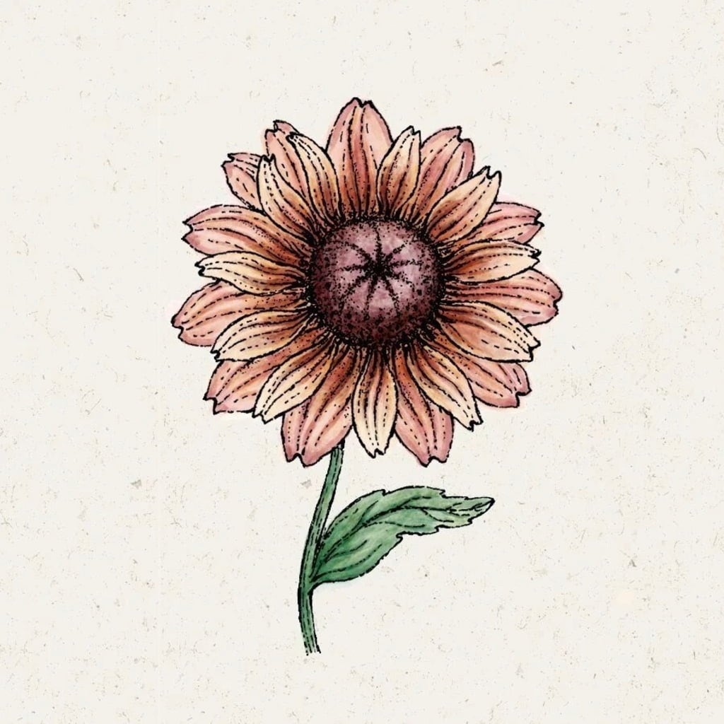 Jora Dahl Sonnenhut 