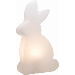 Indoor & Outdoor Light / Spring Season - Shining Rabbit