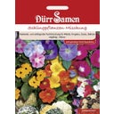 Dürr Samen Schlingpflanzen Mischung - 1 Pkg