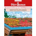 Dürr Samen Květinová směs pro ozelenění střech - 1 balení