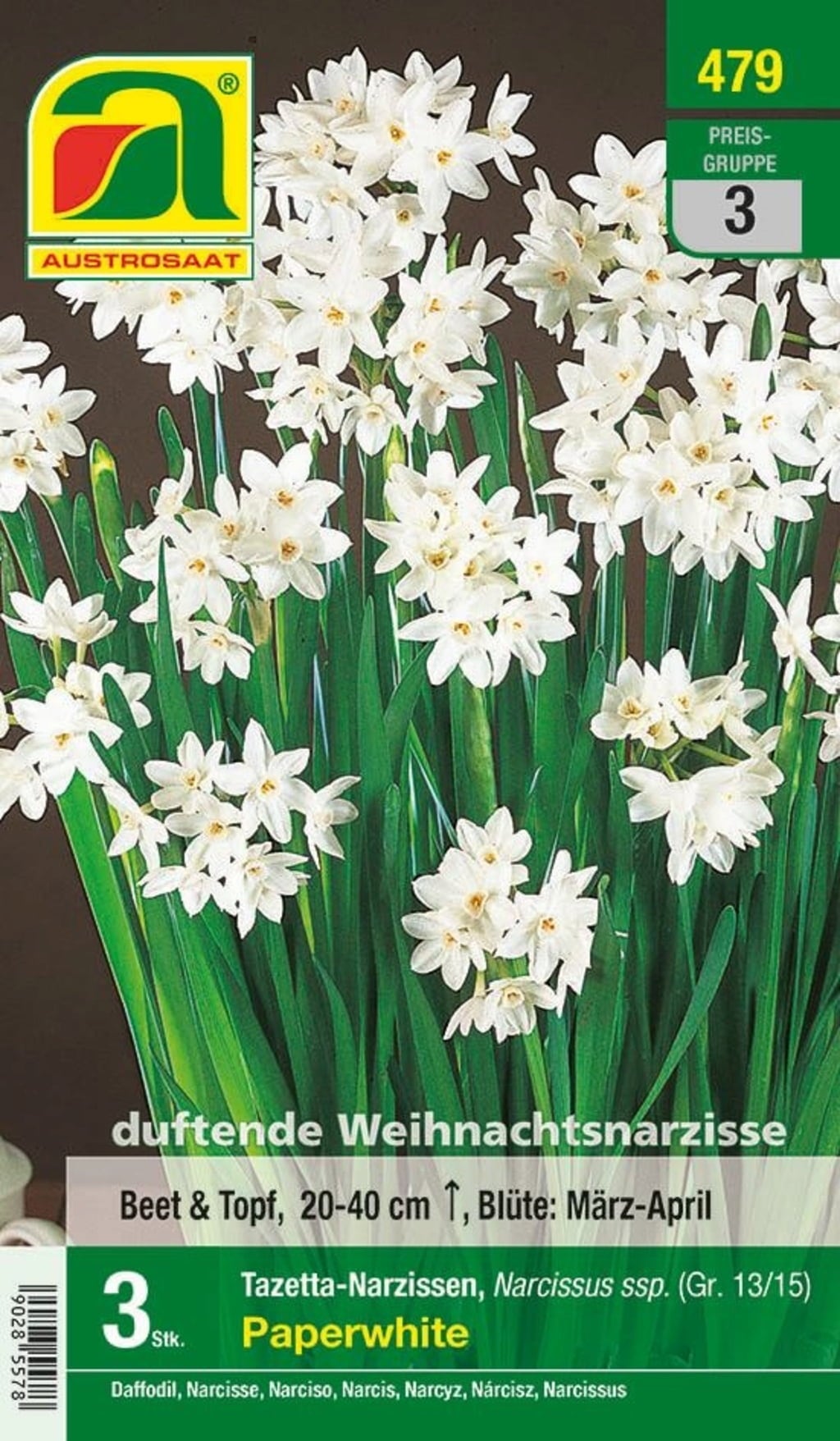 AUSTROSAAT Christmas Daffodils- Paperwhite - 3 Bulbs