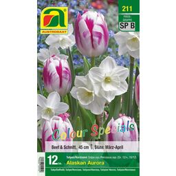 AUSTROSAAT Tulpen & Narcissen Mix Alaska Aurora - 12 stuks