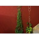 Botanopia Opora pre popínavé rastliny - mosadz
