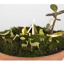 Botanopia Decoración para Plantas - Mini Camping - 1 pieza