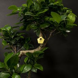 Botanopia Decoración para Plantas - Mini Birdhouse - 1 pieza