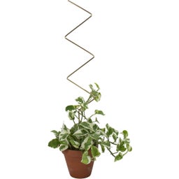 Botanopia Plant Support - Zig Zag