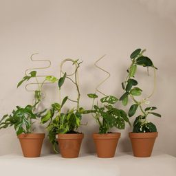 Botanopia Podpórka dla roślin