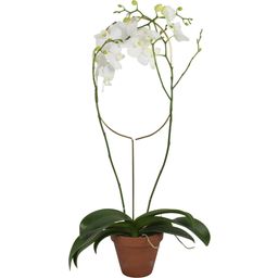 Botanopia Plant Support
