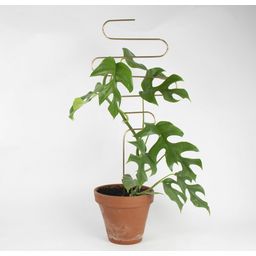 Botanopia Plant Support - Squiggle