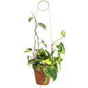 Botanopia Plant Support - Pin