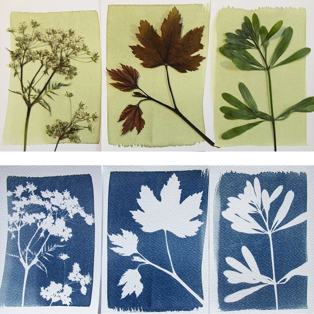 Botanopia Komplet 