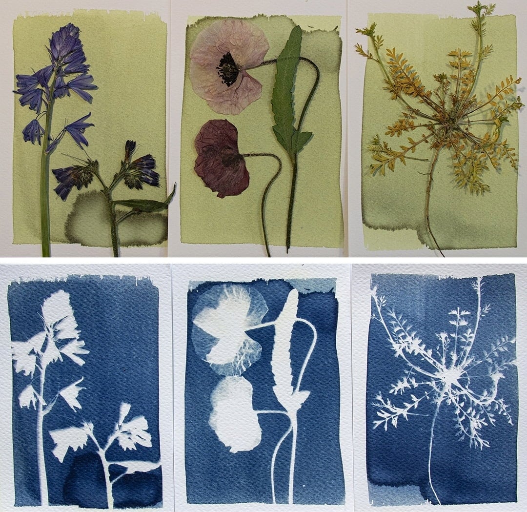 Botanopia Komplet 