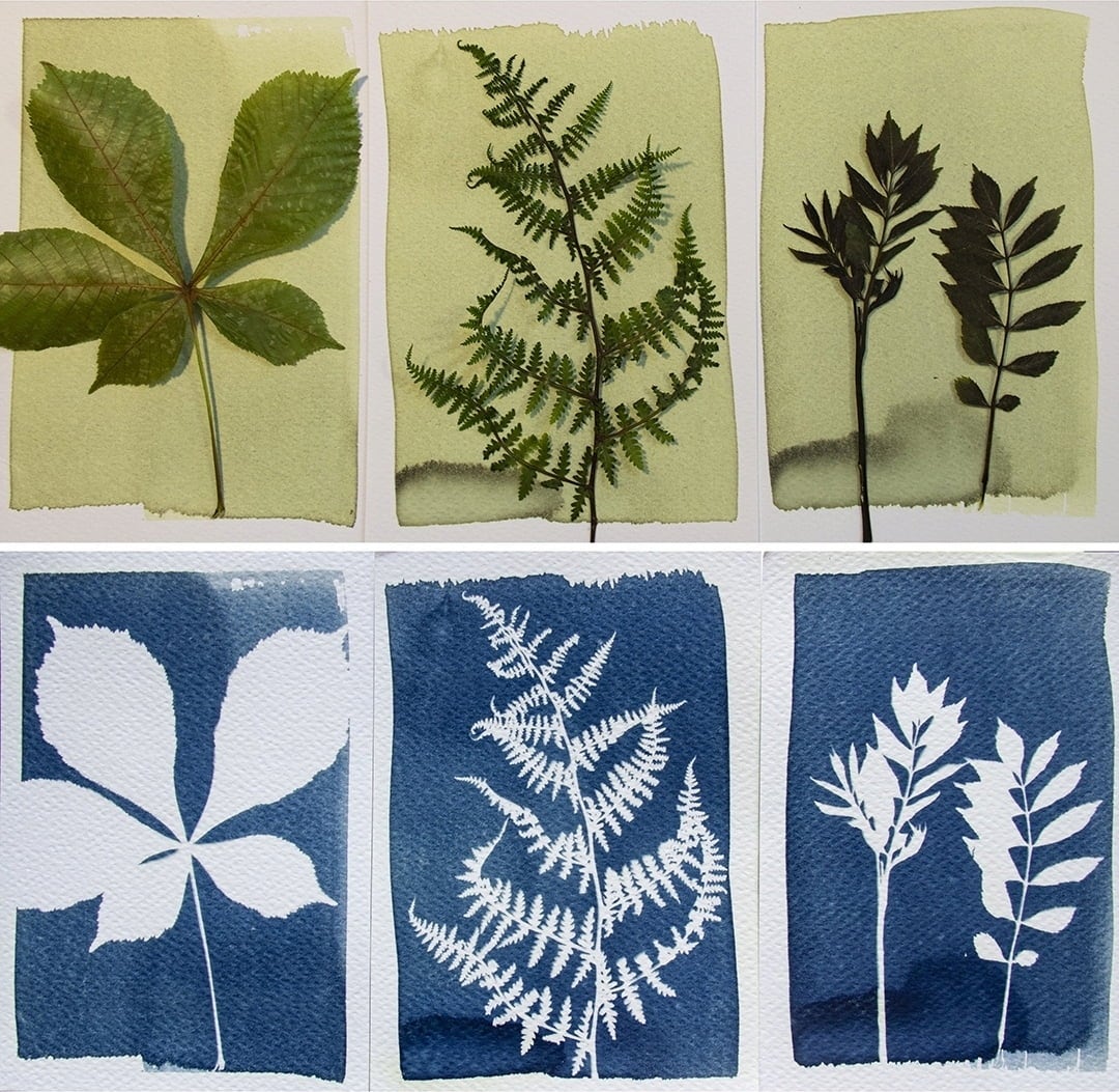 Botanopia Komplet 