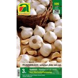 AUSTROSAAT Knoblauch zur Herbstbepflanzung