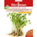 Dürr Samen Organic Cress Sprouting Seeds - 1 Pkg