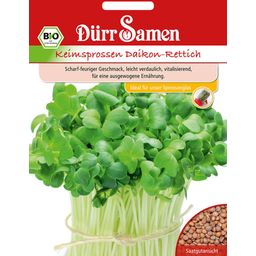 Dürr Samen Organic Daikon Radish Sprouting Seeds - 1 Pkg