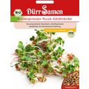 Organic Ruca Rocket Salad Sprouting Seeds - 75g