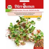 Organic Ruca Rocket Salad Sprouting Seeds