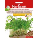 Dürr Samen Organic Coriander Sprouting Seeds - 1 Pkg