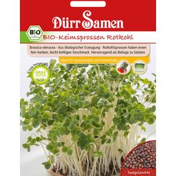 Dürr Samen Organic Red Cabbage Sprouting Seeds - 1 Pkg