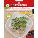 Dürr Samen Semillas para Germinados BIO - Albahaca - 1 paq.