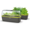 Greenhouse & Planter Box L - BoQube in Anthracite Summer Green - 1 item