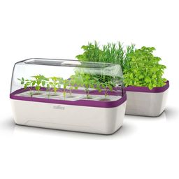 Greenhouse & Planter Box L - BoQube in White & Plum - 1 item