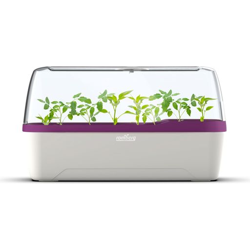 Greenhouse & Planter Box L - BoQube in White & Plum - 1 item