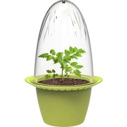 Romberg Mini Growing Pots