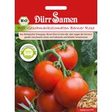 Dürr Samen Biologische Tomaten Berneroosje