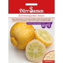 Dürr Samen Okurka citronová „Lemon“ - 1 balení