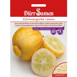 Dürr Samen Zitronengurke Lemon - 1 Pkg