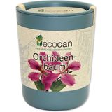 Feel Green Ecocan "Orchid Tree"