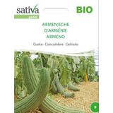 Sativa Bio uhorka (arménska)
