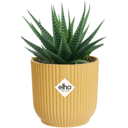 elho vibes fold round mini 7cm - Buttery Yellow