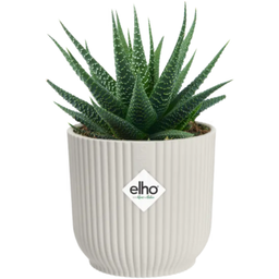 elho Cache-Pot VIBES FOLD Rond Mini - 7 cm - blanc soie
