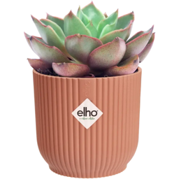 elho vibes fold round mini 9cm - Delicate Pink