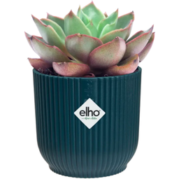 elho vibes fold round mini 11cm - Deep Blue