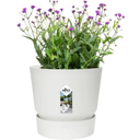 elho greenville Planter Round 18cm - White