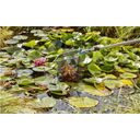 Gardena combisystem Vario 2 Pond Cleaner - 1 item