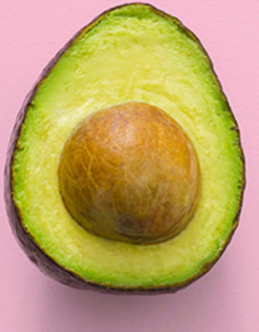 Grow Your Own Avocados