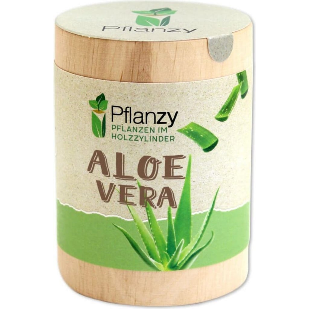 Feel Green Pflanzy "Aloe Vera" - Bloomling Schweiz