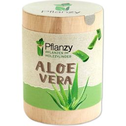 Feel Green Pflanzy "Aloe Vera"
