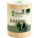 Feel Green Pflanzy - Palma - 1 pz.