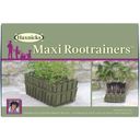 Haxnicks Maxi Rootrainers termesztőtálca - 1 db