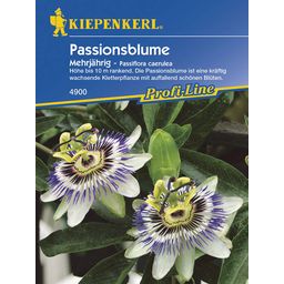 Kiepenkerl Passionflower - 1 Pkg
