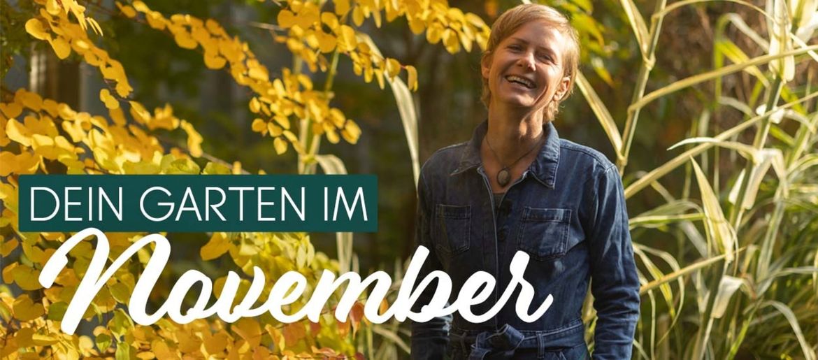 November - De tuin winterklaar maken