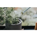 Binnengieter The Langley Sprinkler, 0,7 liter - Lichtgrijs