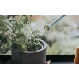 Binnengieter The Langley Sprinkler, 0,7 liter - Lichtgrijs
